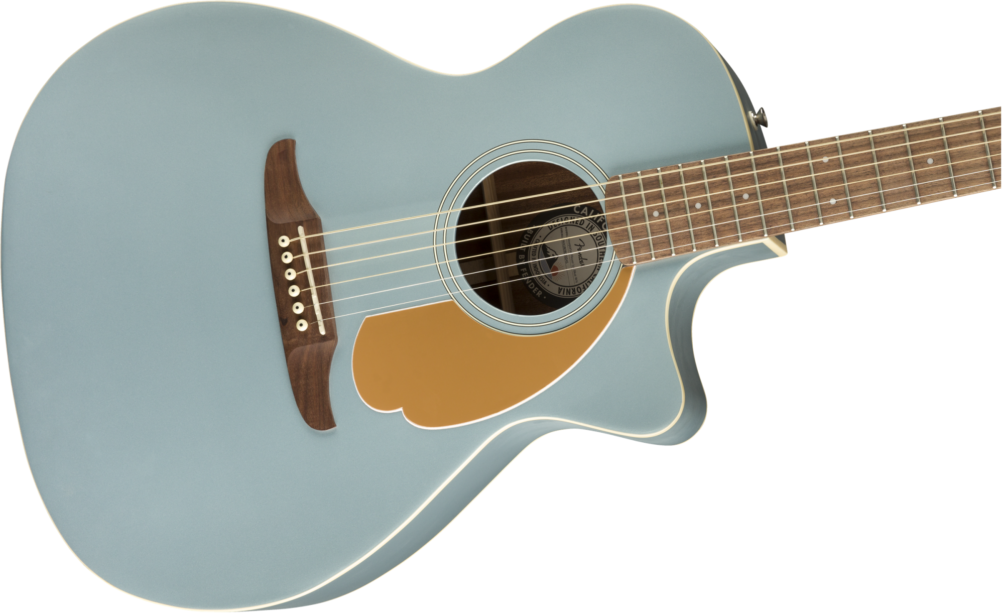 Acoustic Cutaway